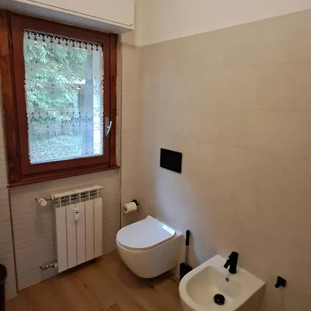 Alfaro54 ブルナーテ