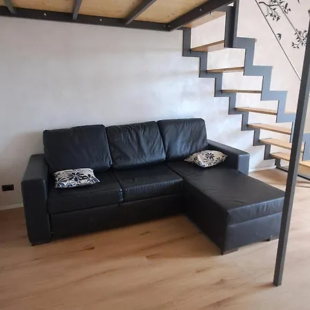 Alfaro54 ブルナーテ