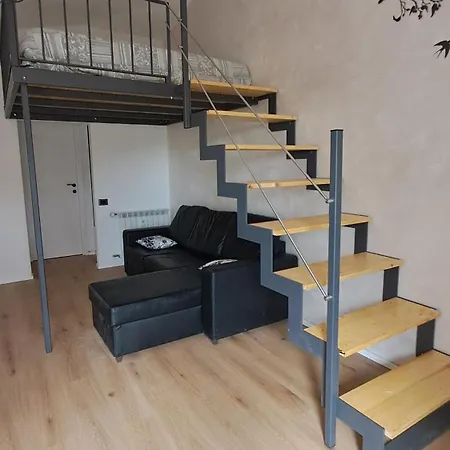 Alfaro54 ブルナーテ